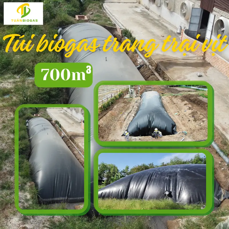 TÚI BIOGAS XỬ LÝ CHẤT THẢI CHĂN NUÔI TRANG TRẠI LỚN (700M³)